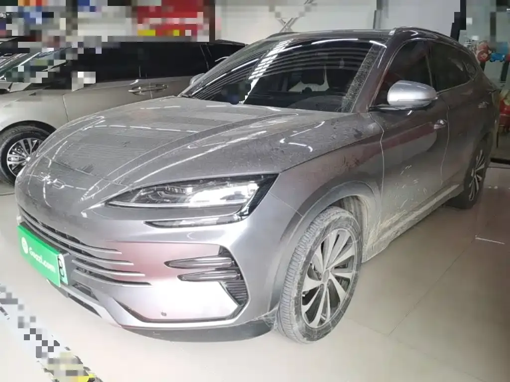 BYD PLUS New Energy — фото 8