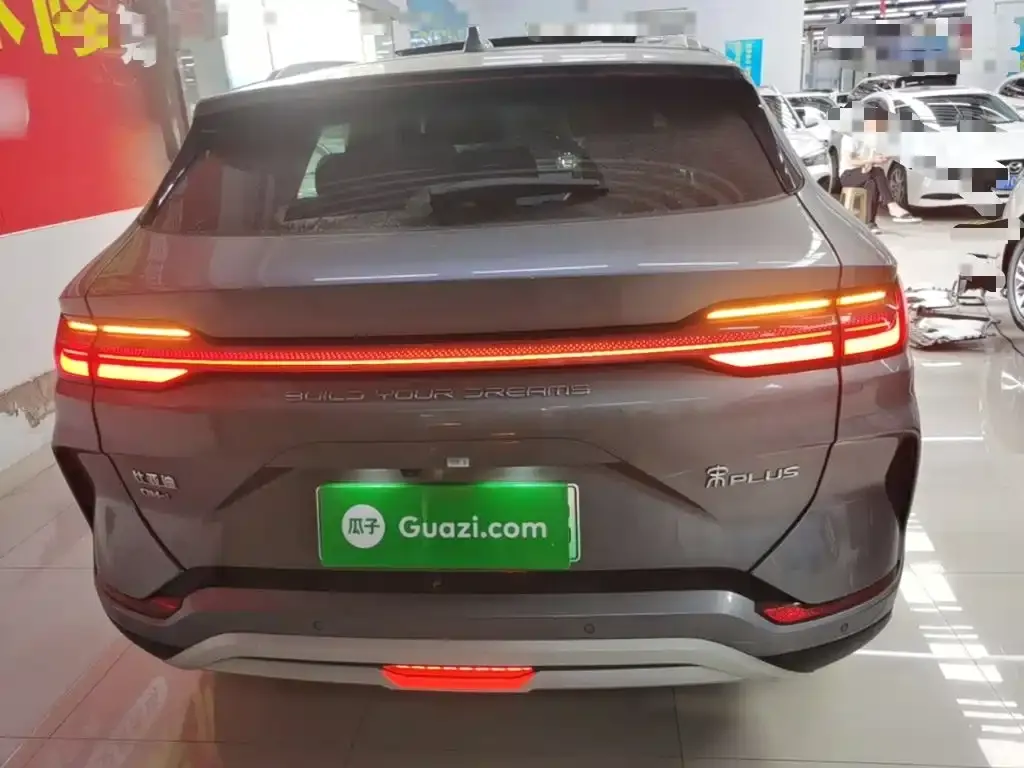BYD PLUS New Energy — фото 10