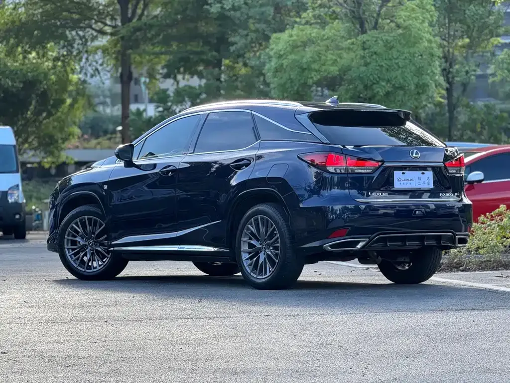 Lexus RX — фото 10