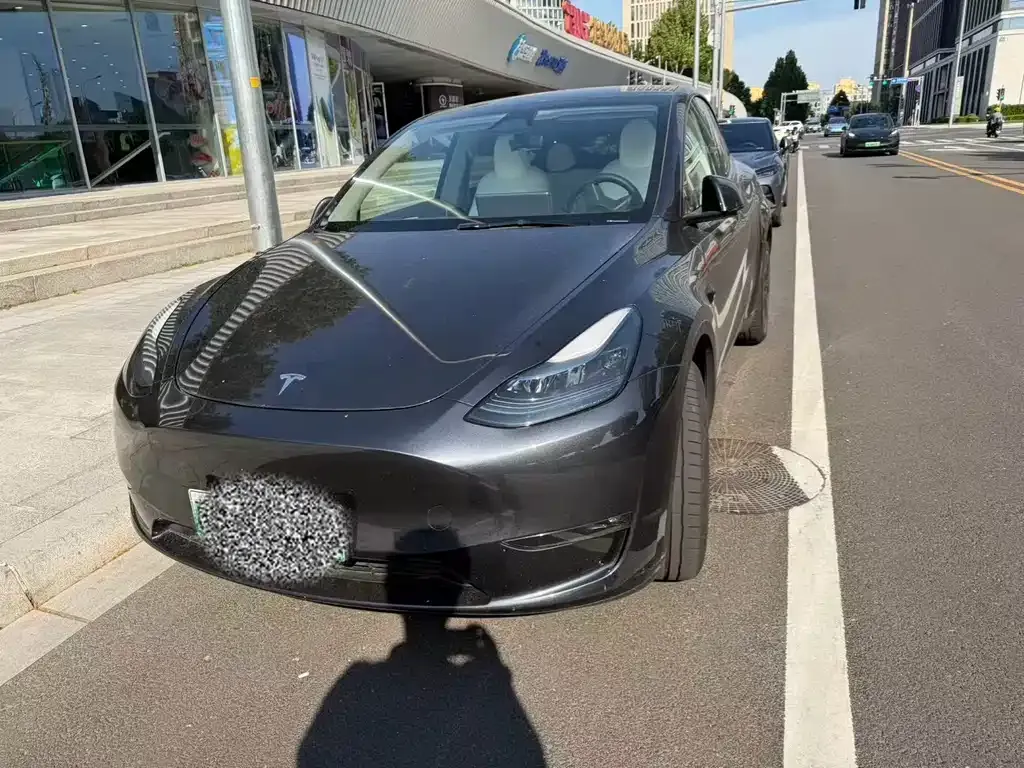 Tesla Model Y — фото 1