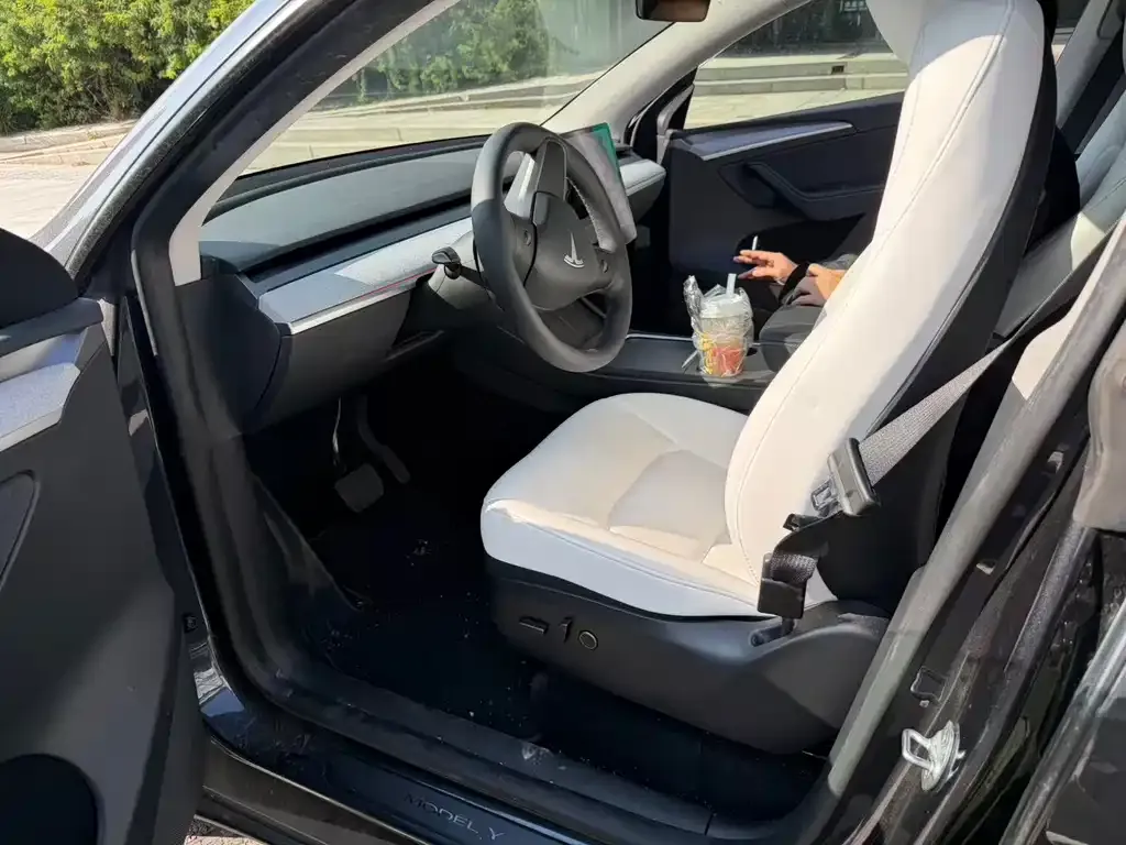 Tesla Model Y — фото 2