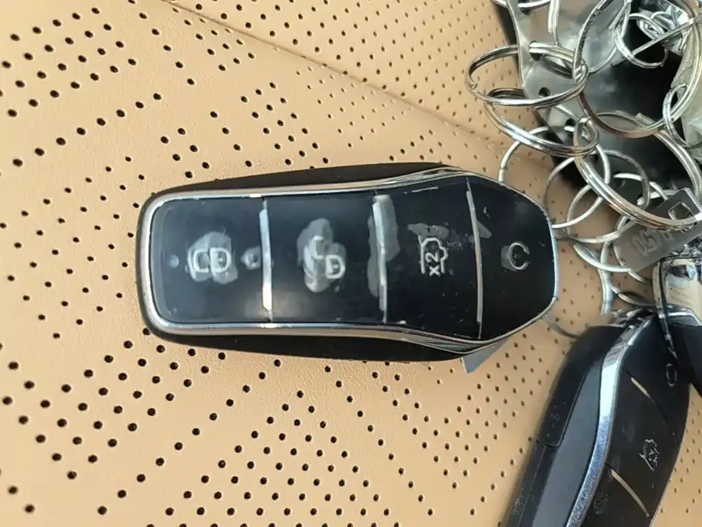 BYD L DM-i — фото 2