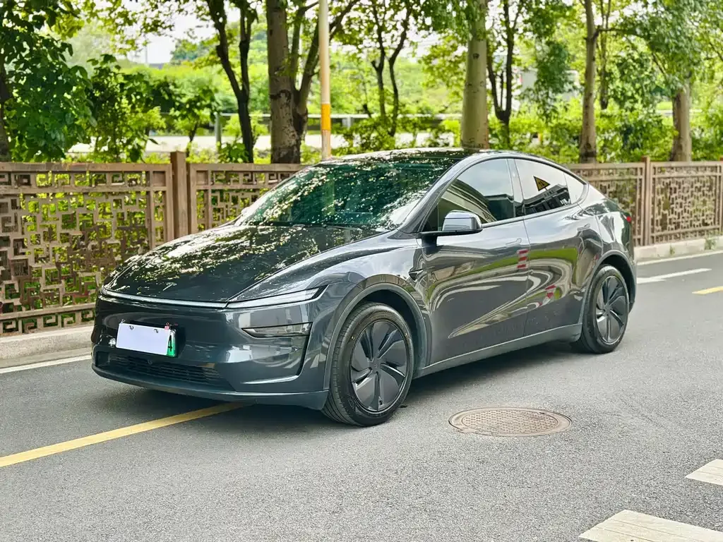 Tesla Model Y — фото 1