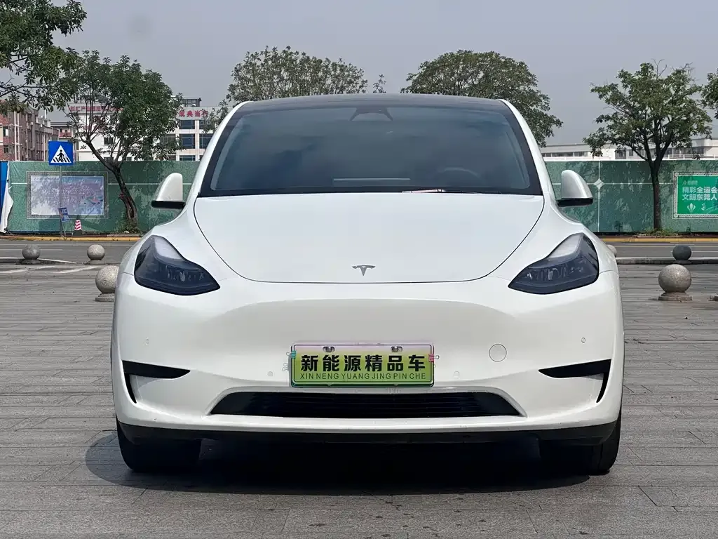 Tesla Model Y — фото 8