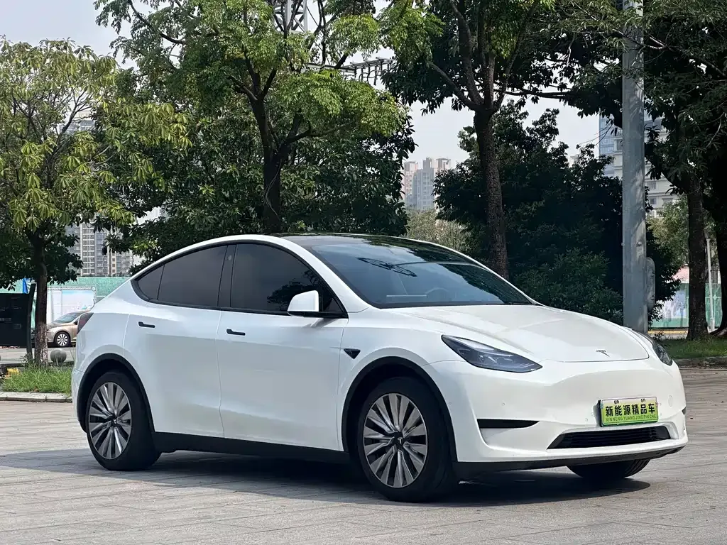 Tesla Model Y — фото 10