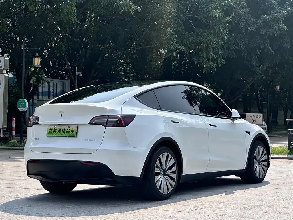 Tesla Model Y — фото 5