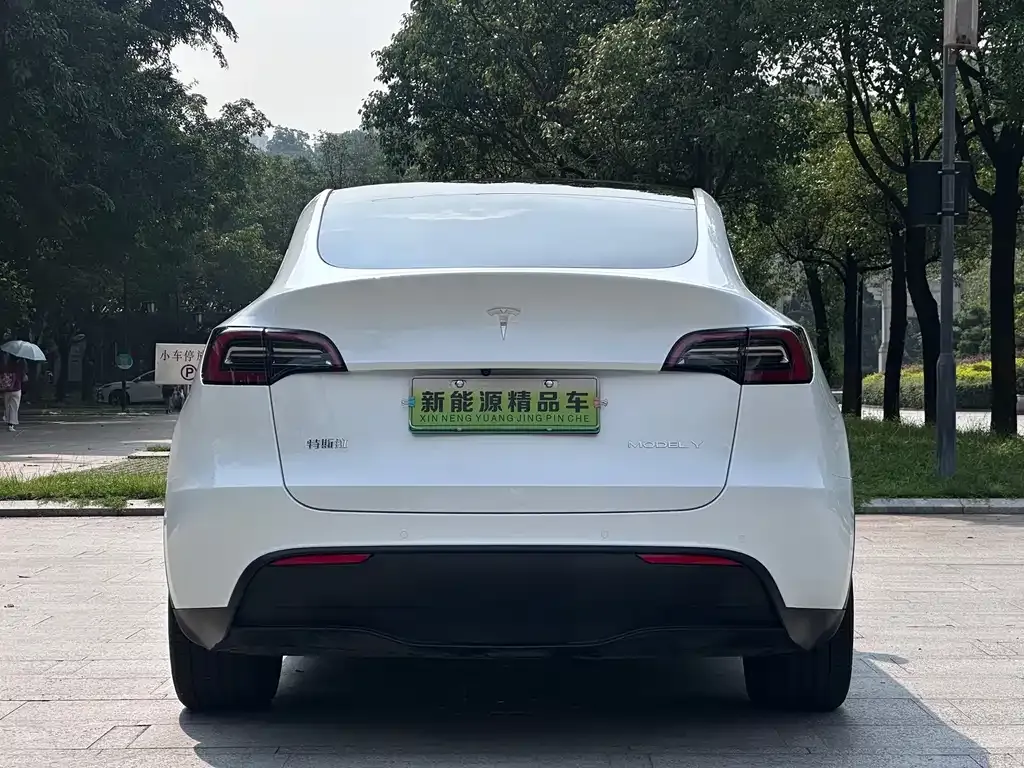 Tesla Model Y — фото 4