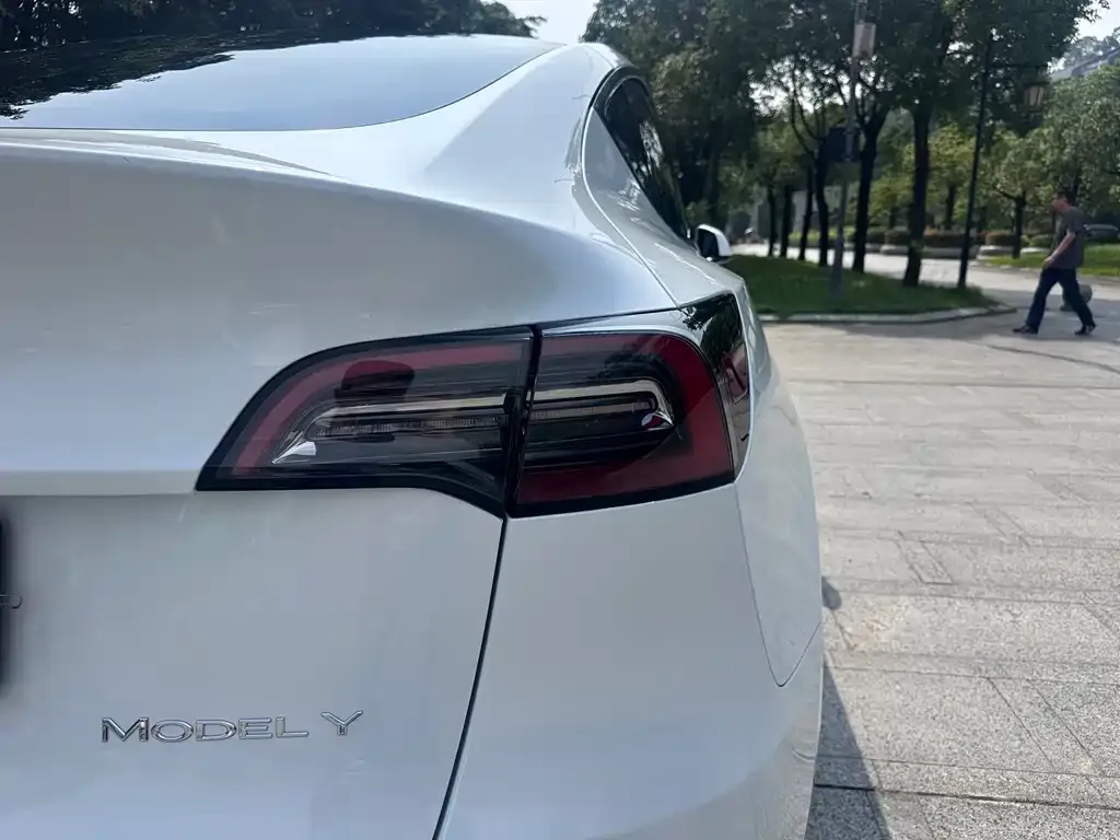 Tesla Model Y — фото 2