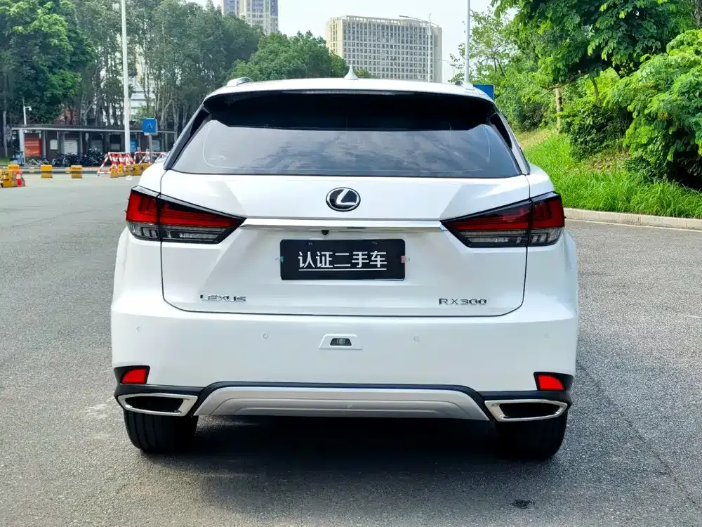Lexus RX — фото 10