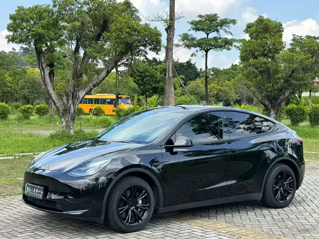 Tesla Model Y — фото 1