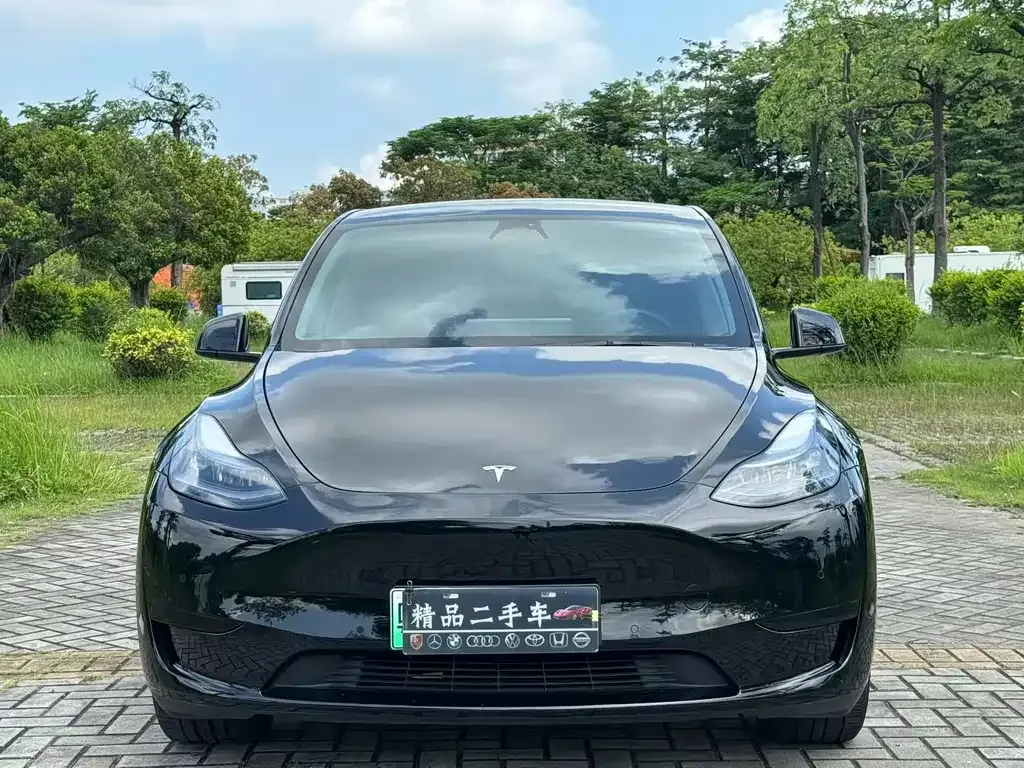 Tesla Model Y — фото 5
