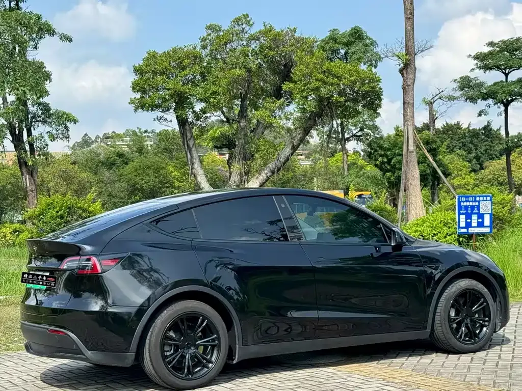 Tesla Model Y — фото 8