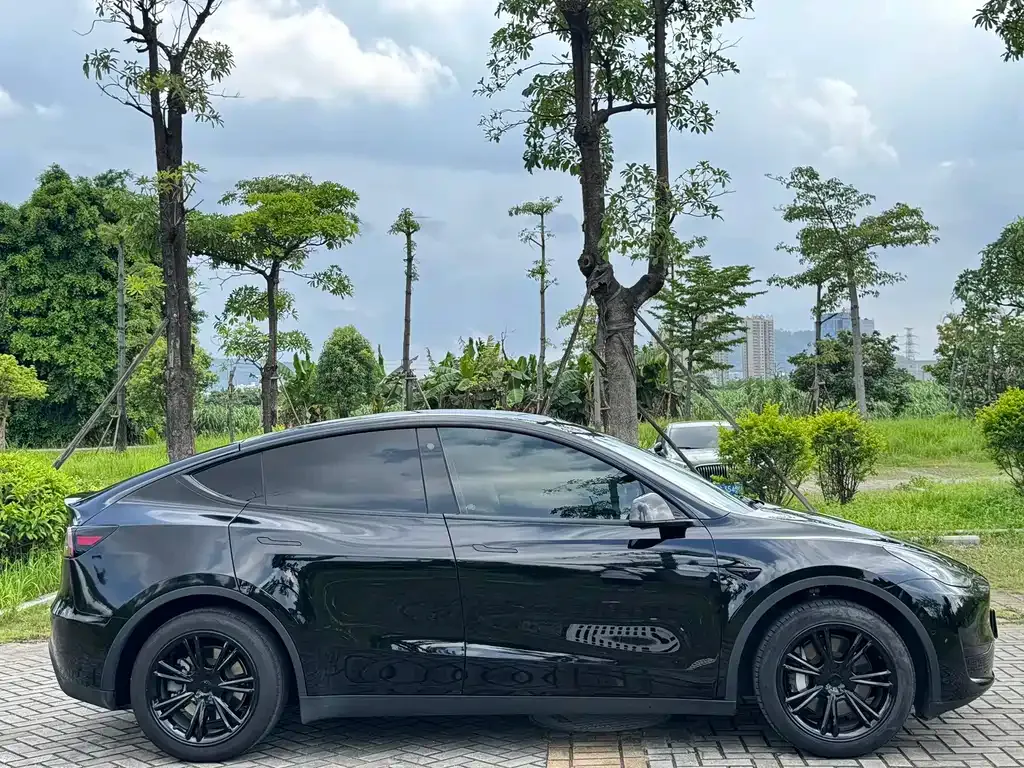 Tesla Model Y — фото 9