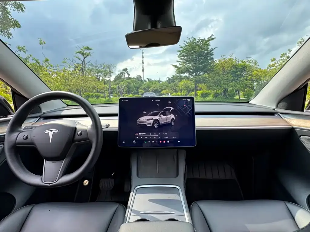 Tesla Model Y — фото 2