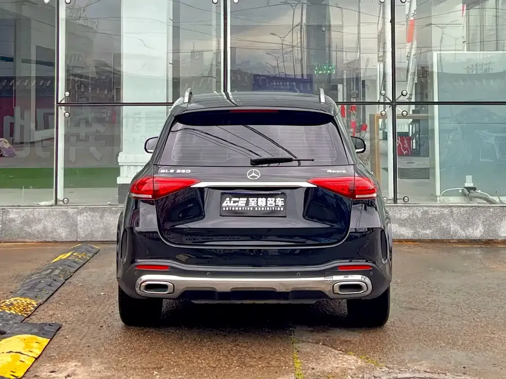Mercedes-Benz GLE (Import) — фото 4