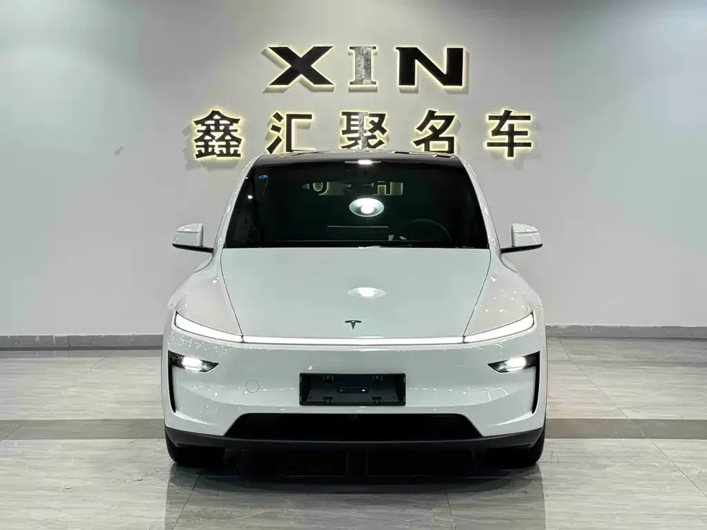 Tesla Model Y — фото 8