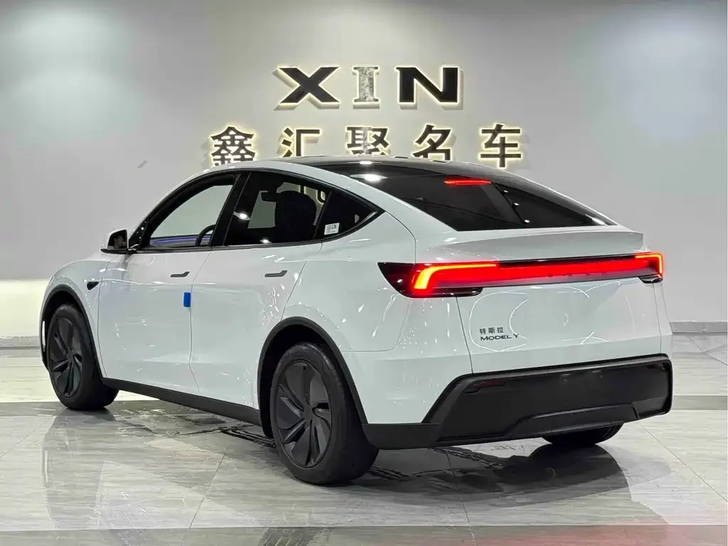Tesla Model Y — фото 10
