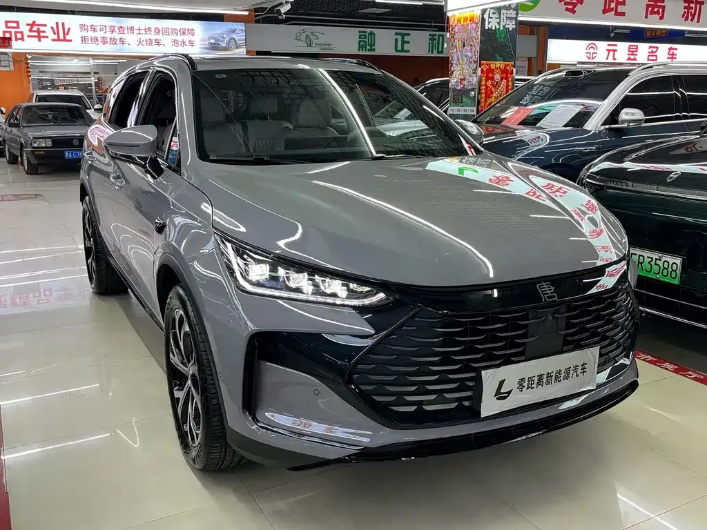 BYD Tang New Energy — фото 2