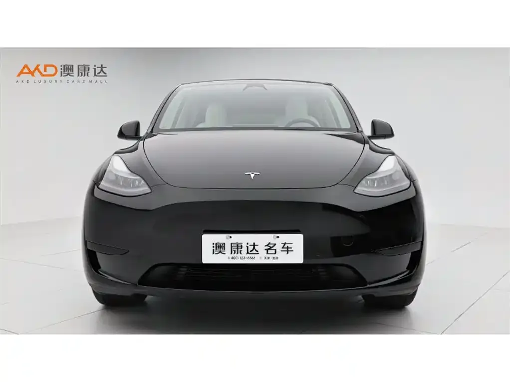 Tesla Model Y — фото 8
