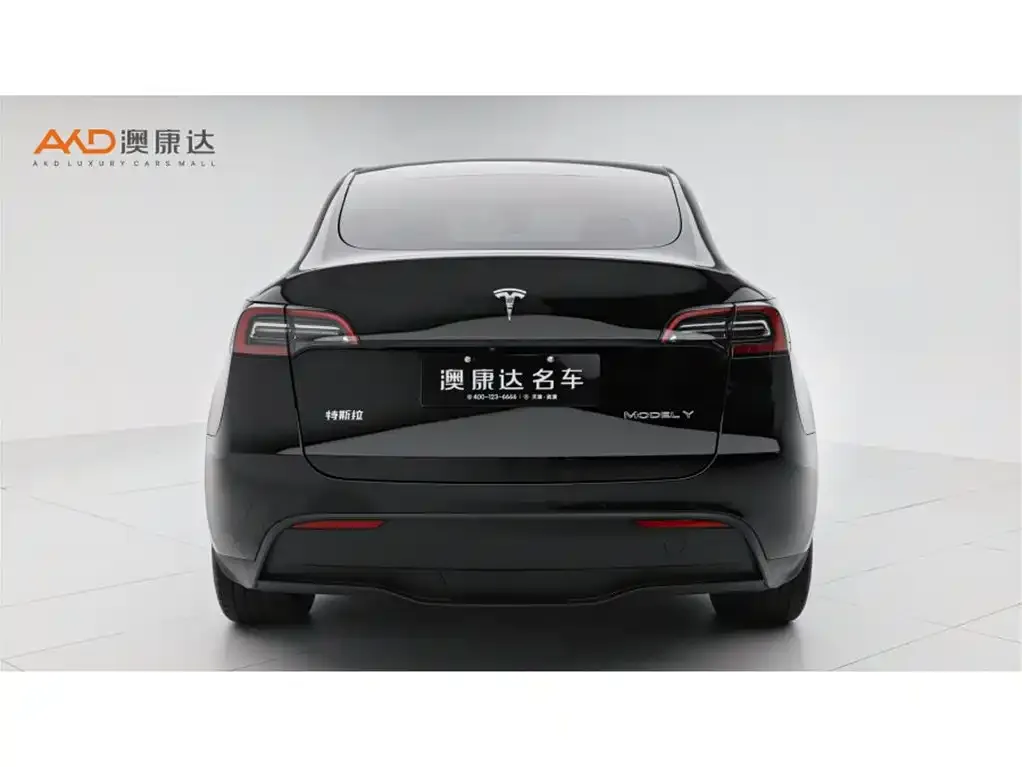 Tesla Model Y — фото 7