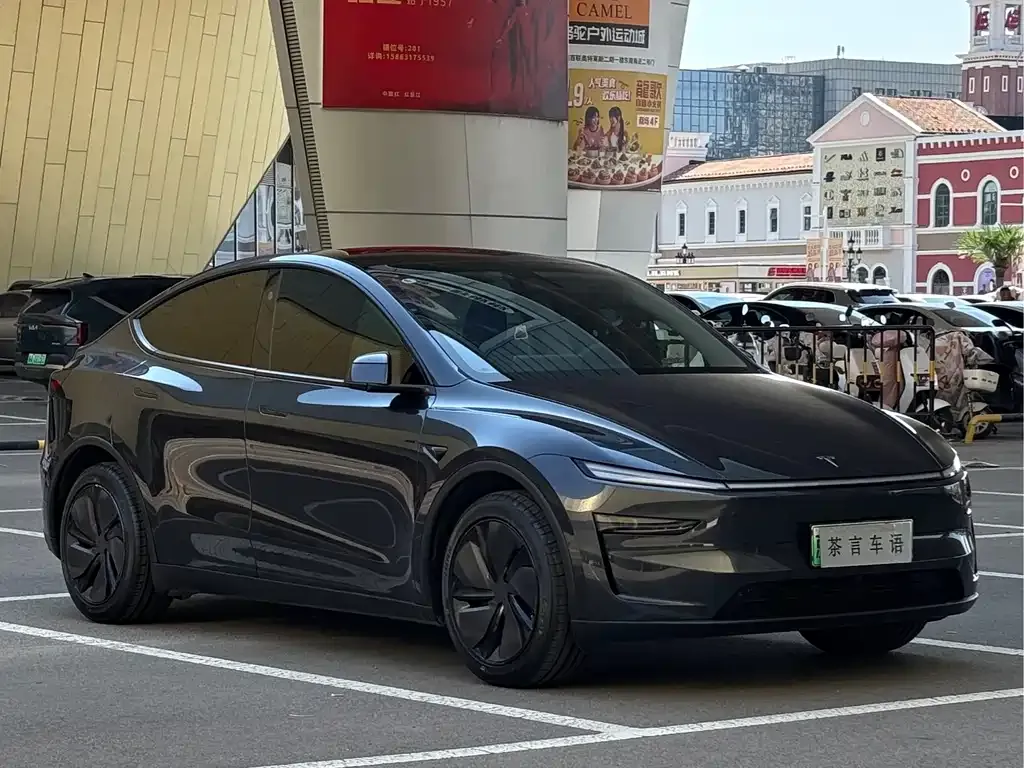 Tesla Model Y — фото 8