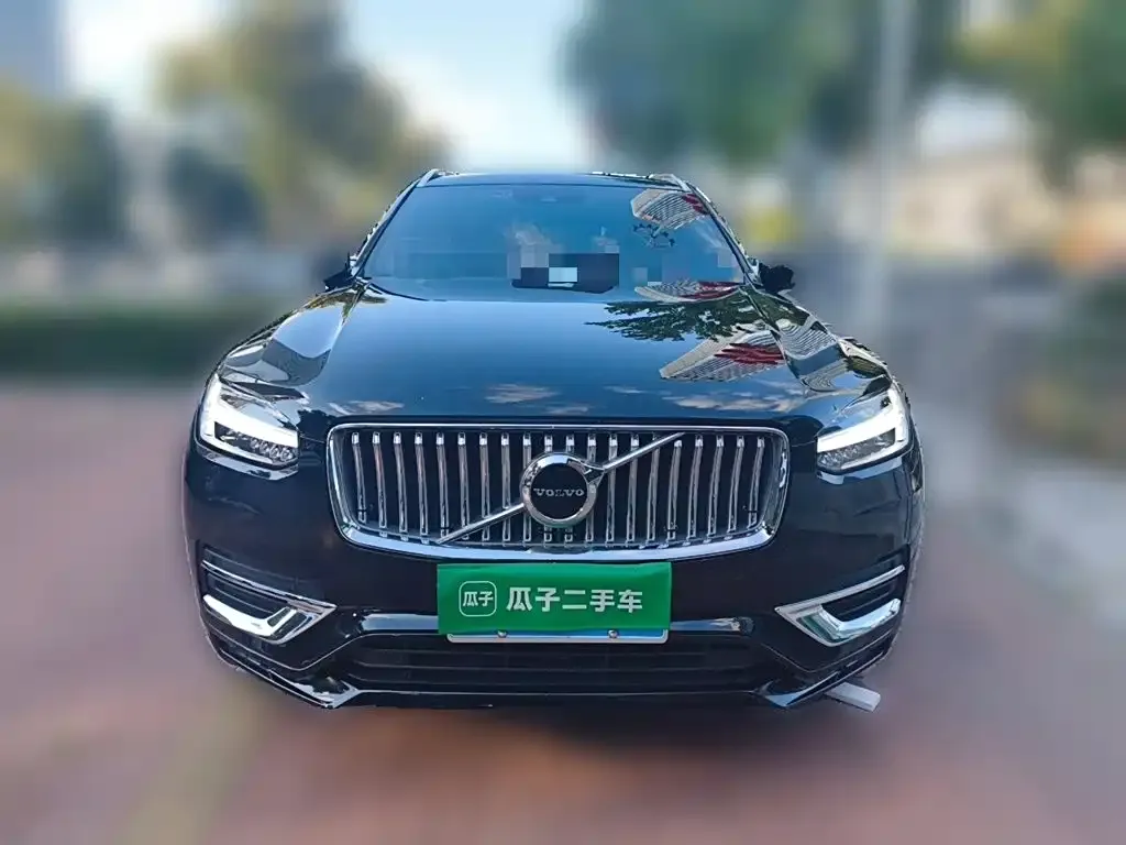 Volvo XC90 — фото 10