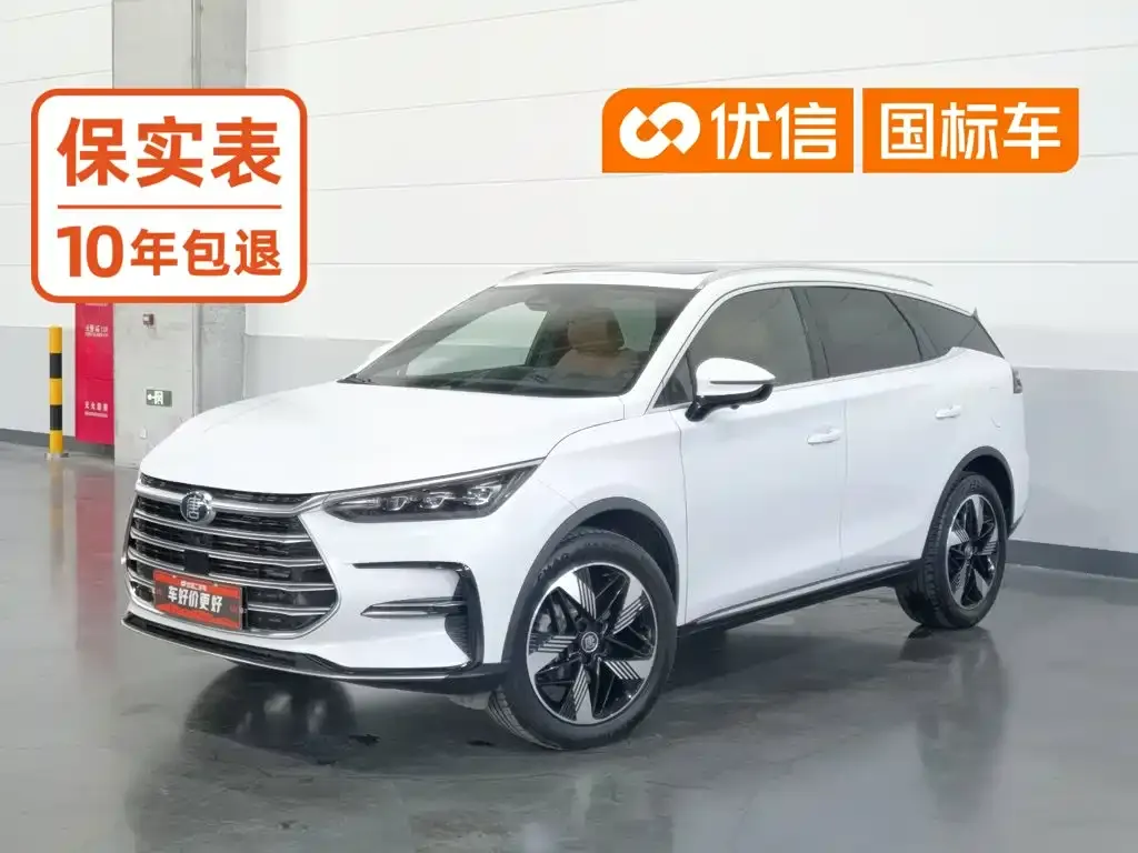 BYD Tang New Energy — фото 1