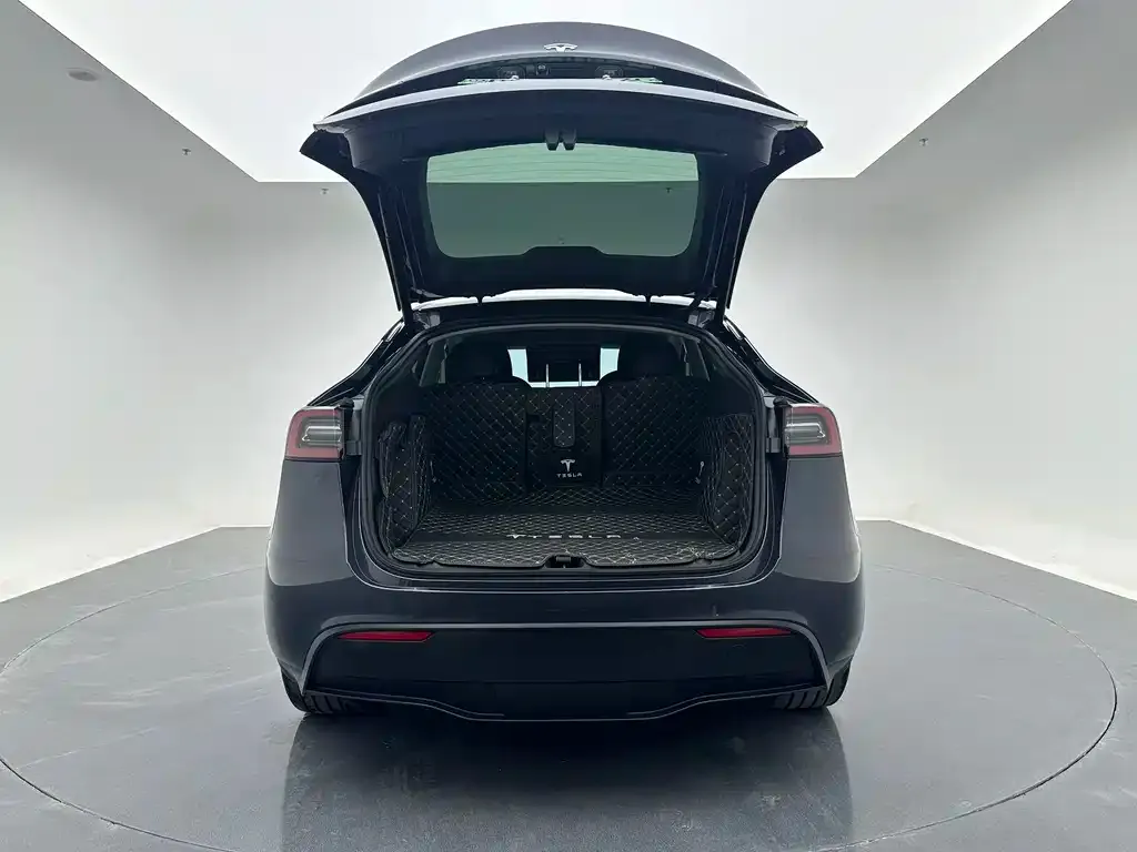 Tesla Model Y — фото 10