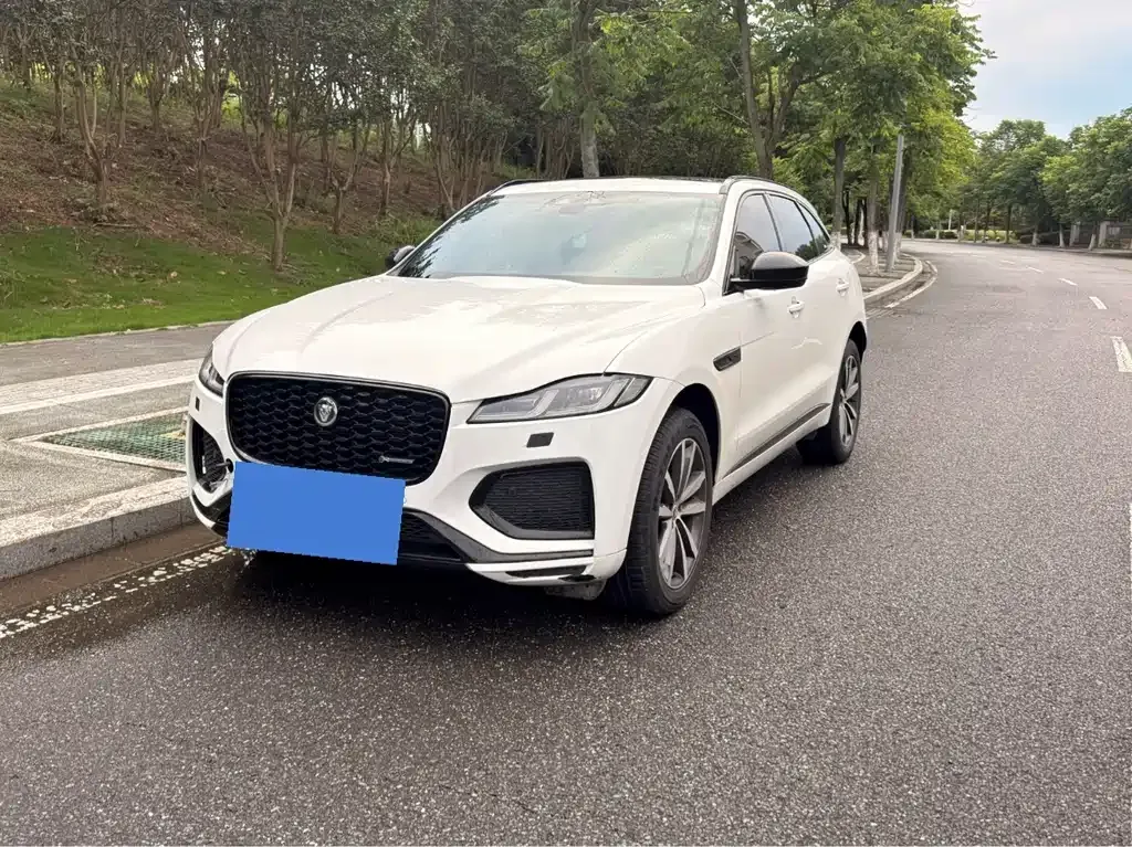 Jaguar F-PACE — фото 1