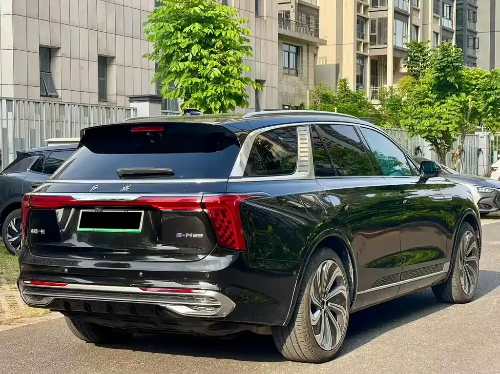 Hongqi E-HS9 — фото 10