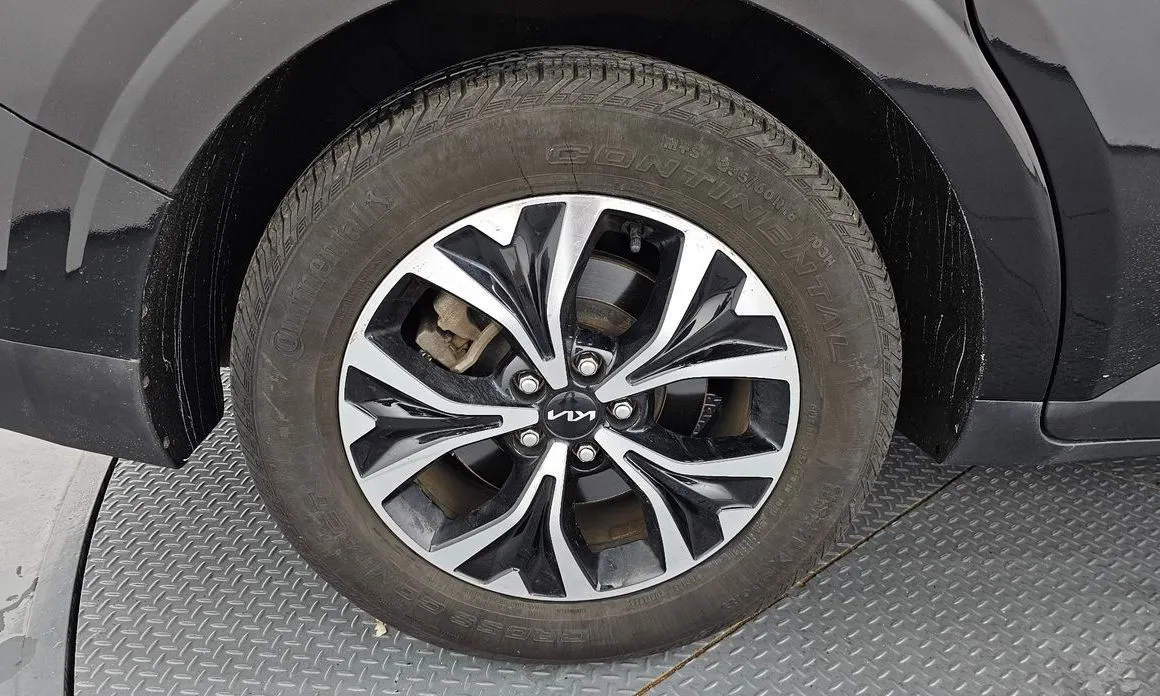 Kia Carnival — фото 10