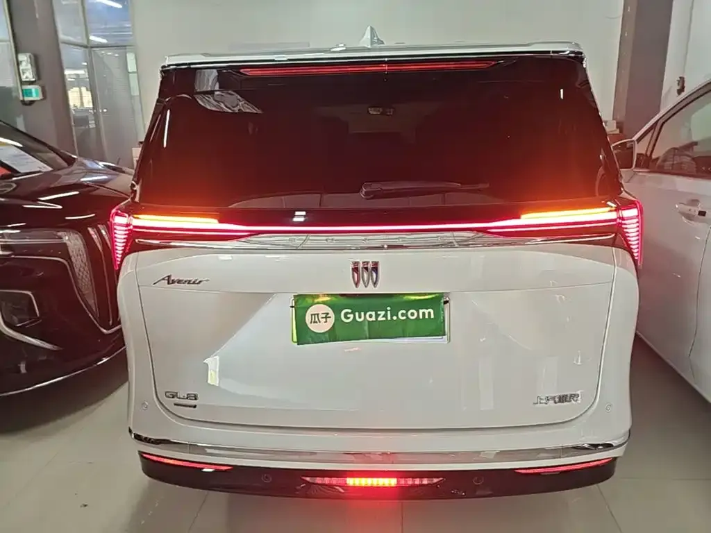 Buick GL8 Hybrid — фото 6