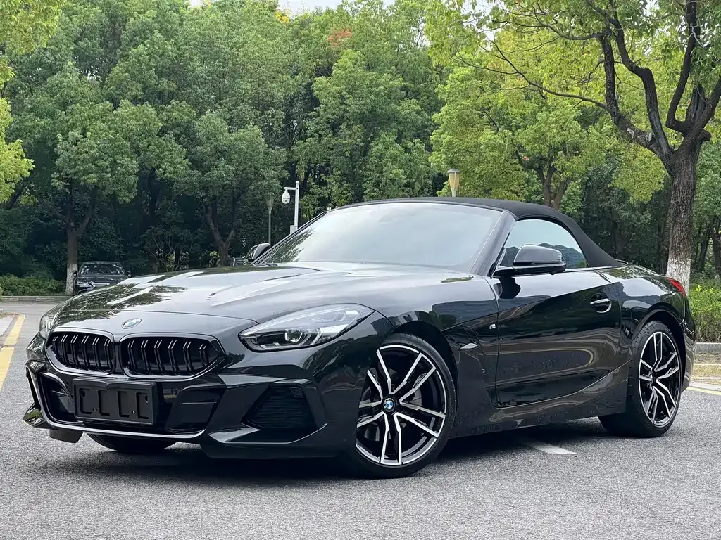 BMW Z4 — фото 1