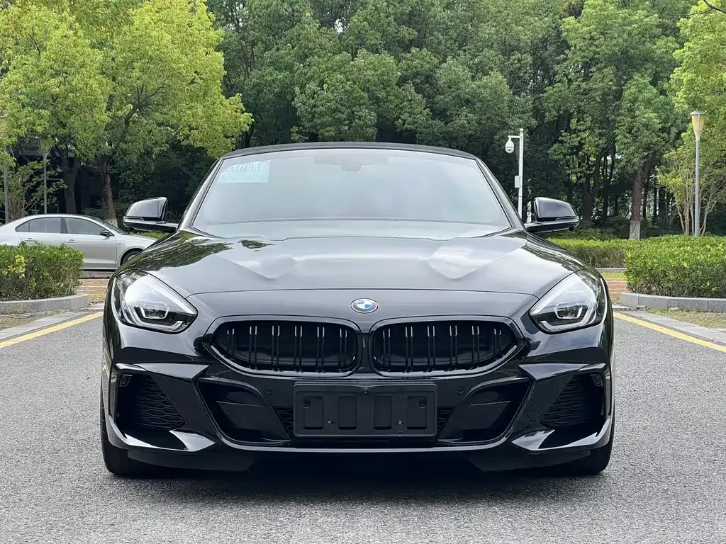 BMW Z4 — фото 5