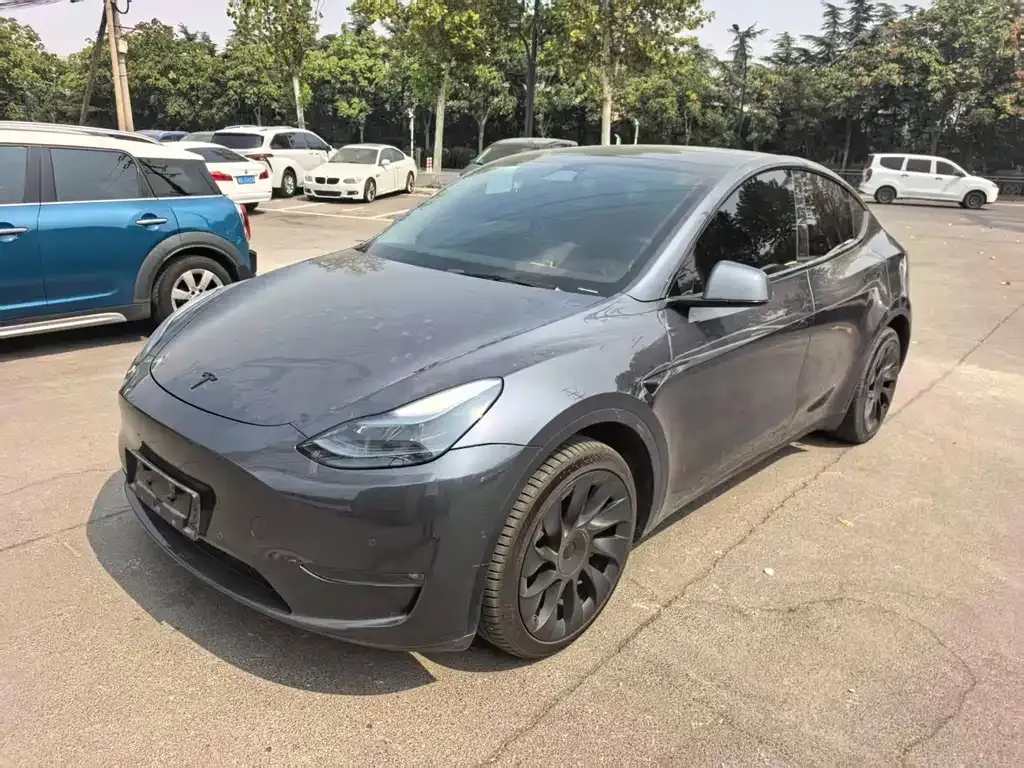 Tesla Model Y — фото 1