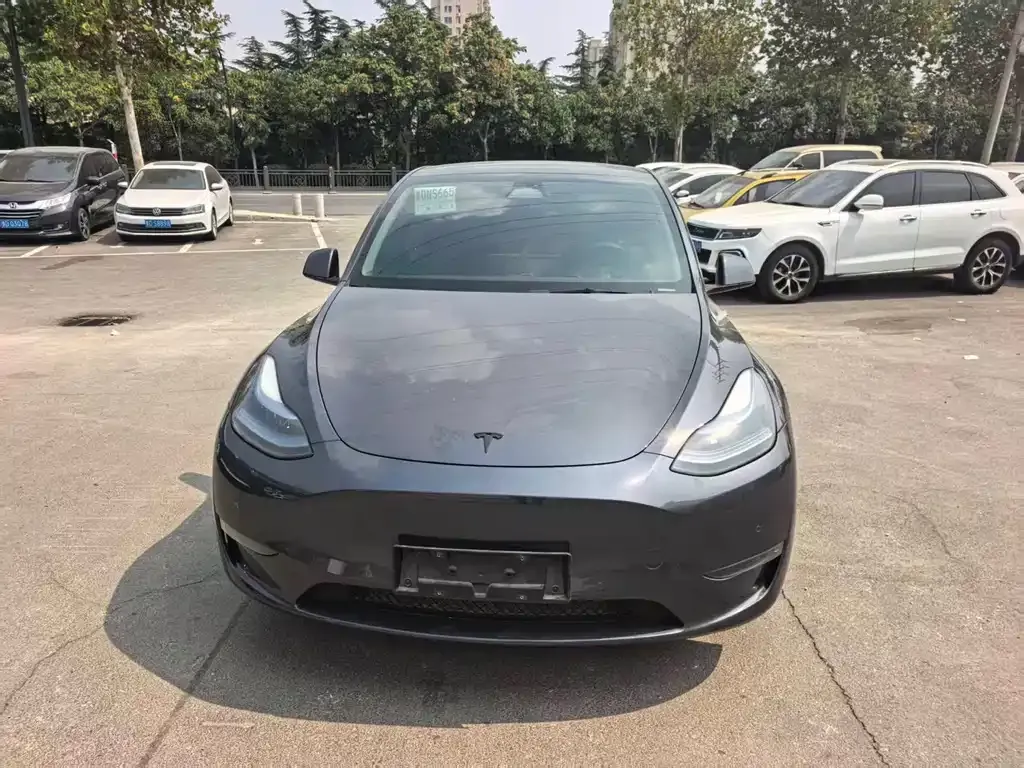 Tesla Model Y — фото 8