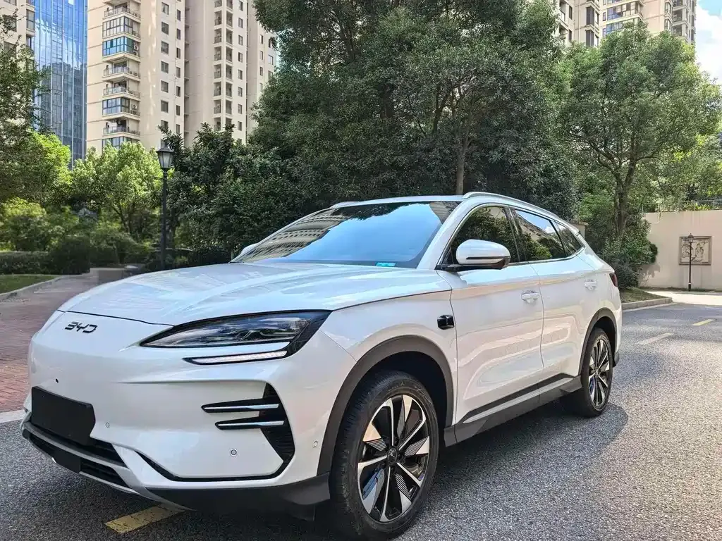 BYD PLUS New Energy — фото 1