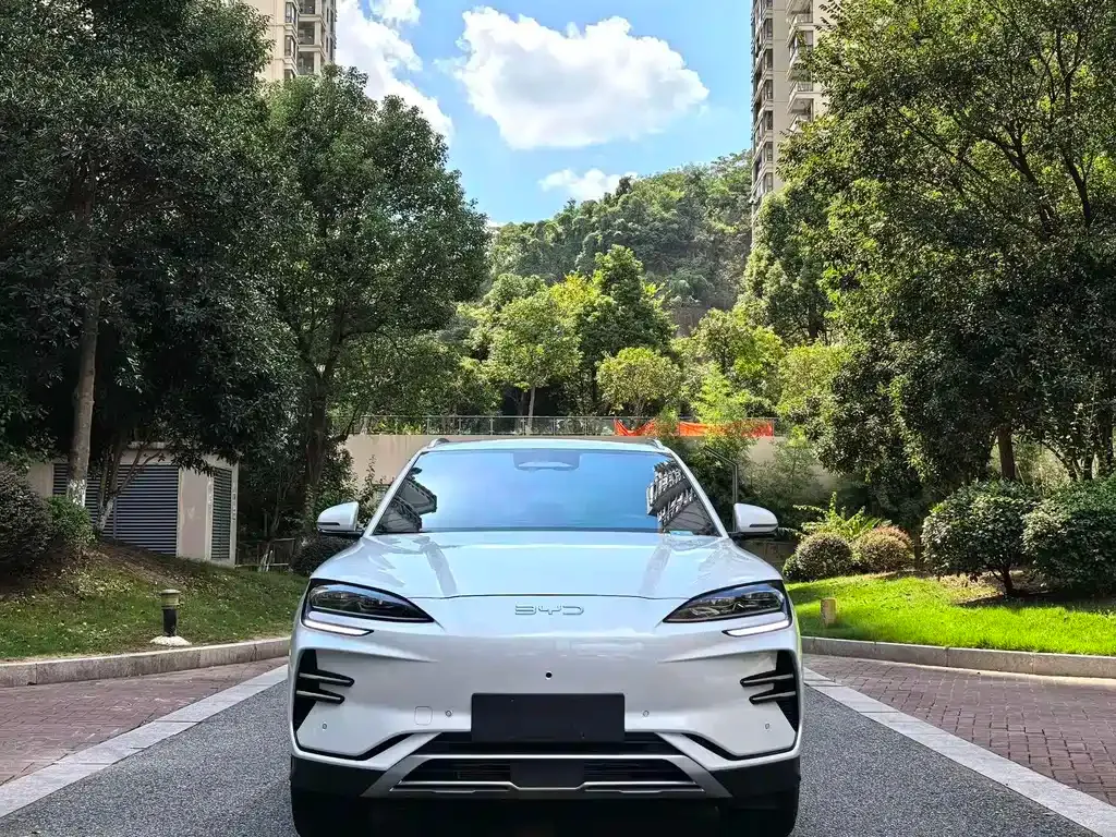 BYD PLUS New Energy — фото 8