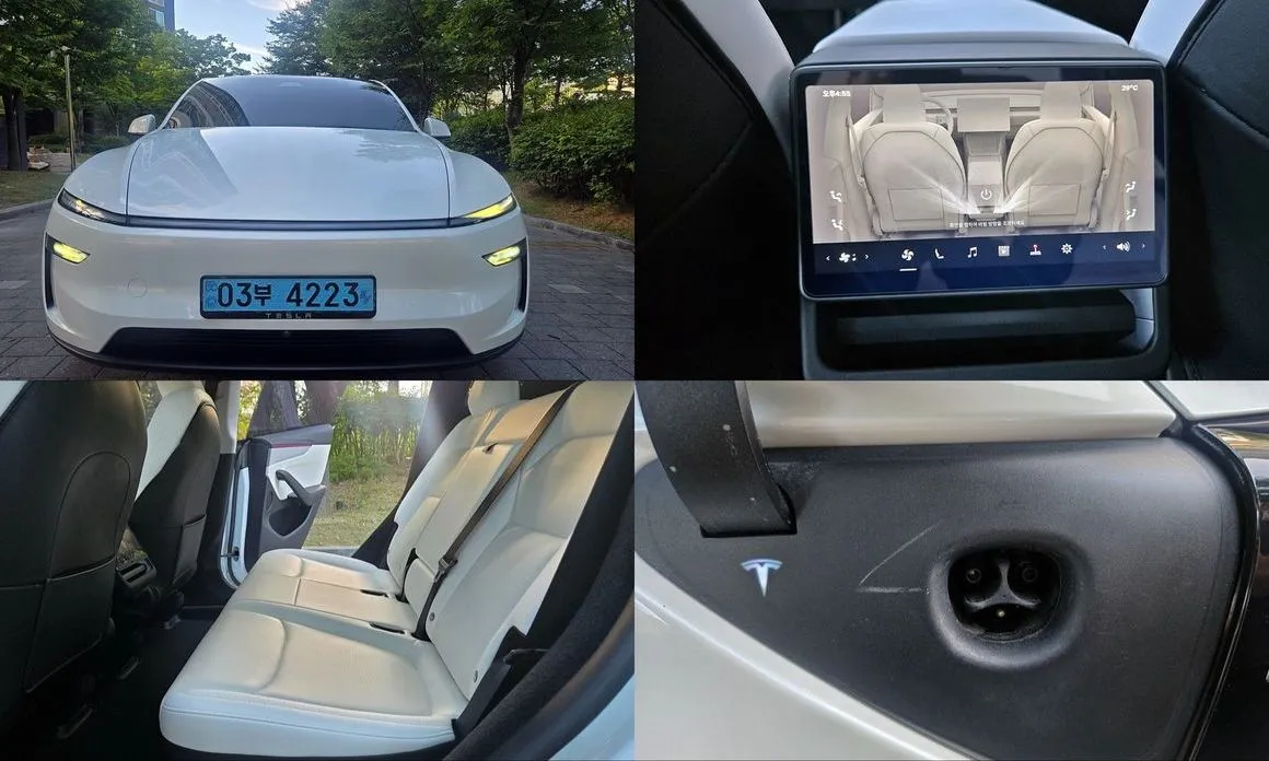 Tesla Model Y — фото 1