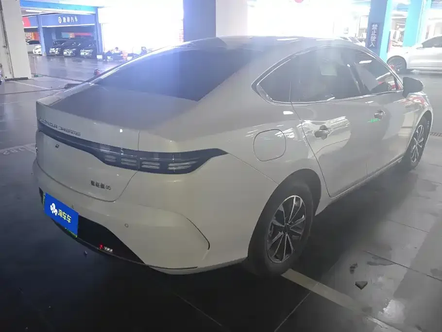 BYD Destroyer 05 — фото 10