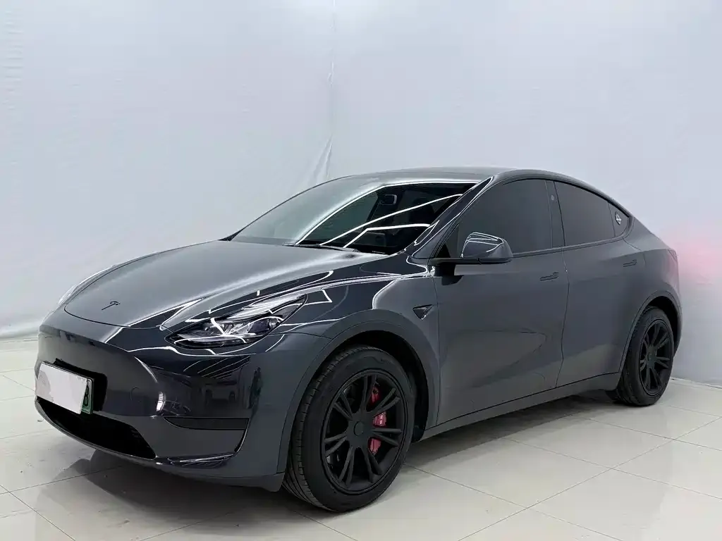 Tesla Model Y — фото 1