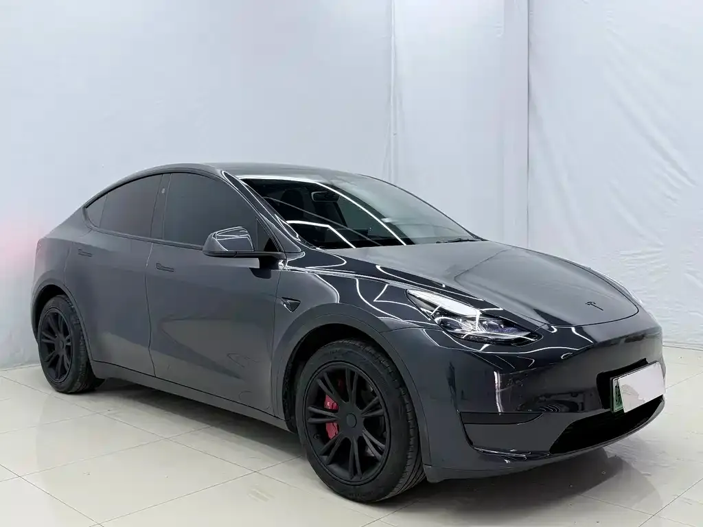 Tesla Model Y — фото 6