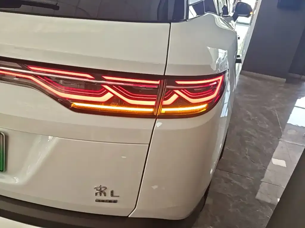 BYD L DM-i — фото 6