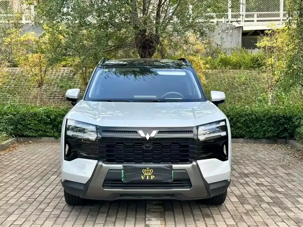 Wuling Xingguang 560 New Energy — фото 9