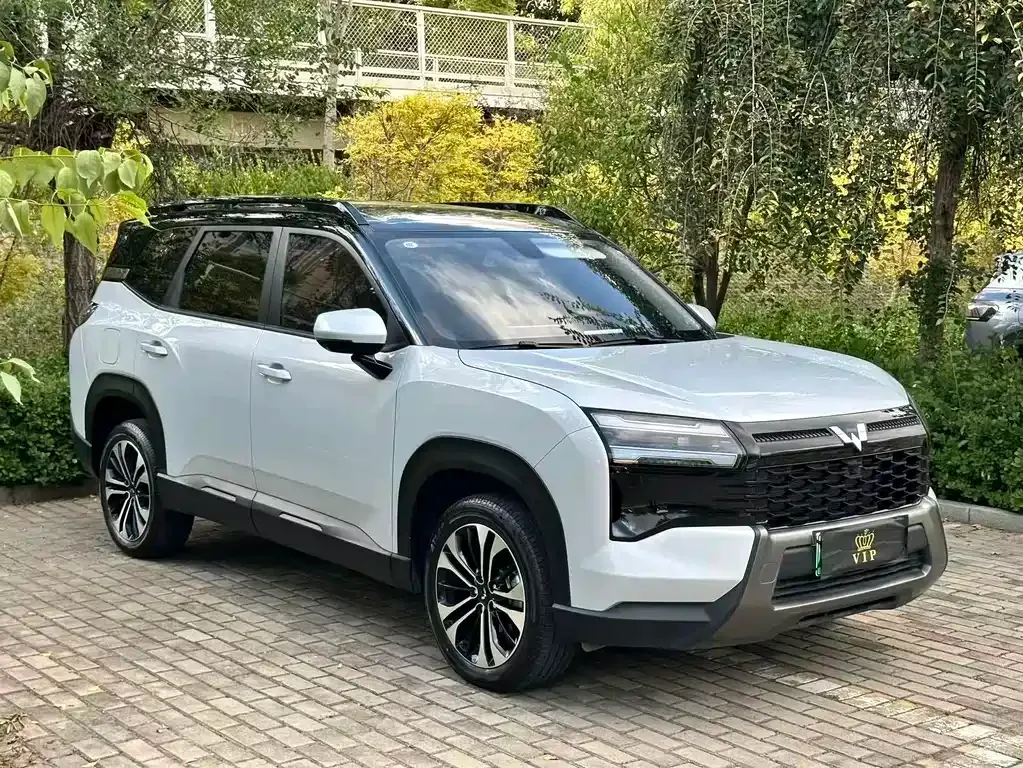 Wuling Xingguang 560 New Energy — фото 6