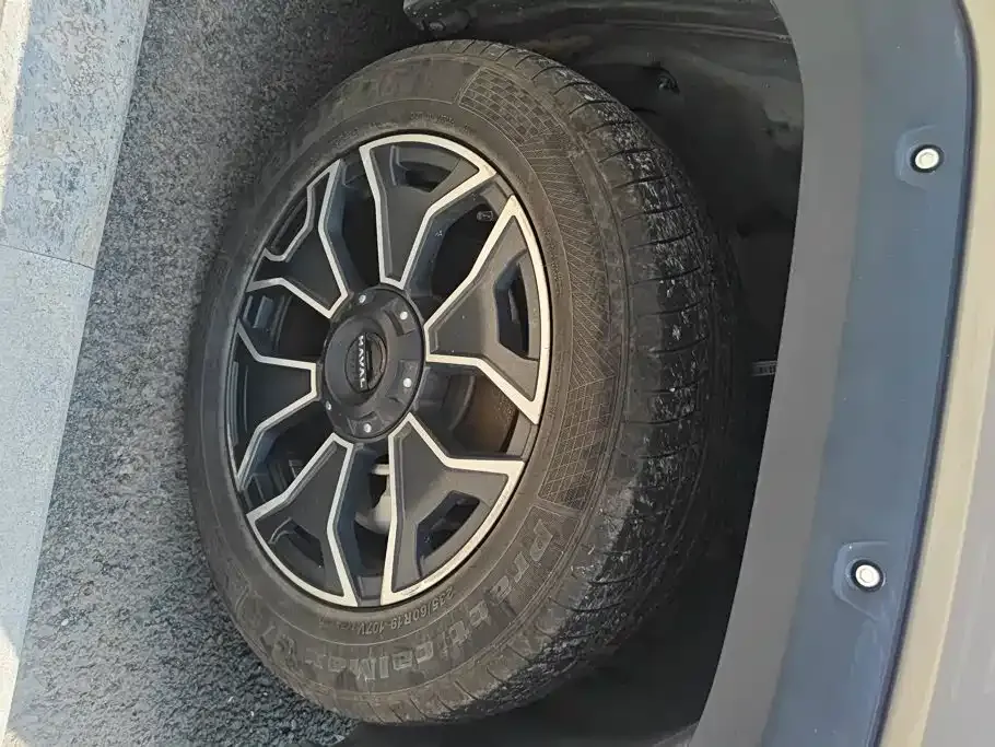 Haval Big Dog PLUS New Energy — фото 3