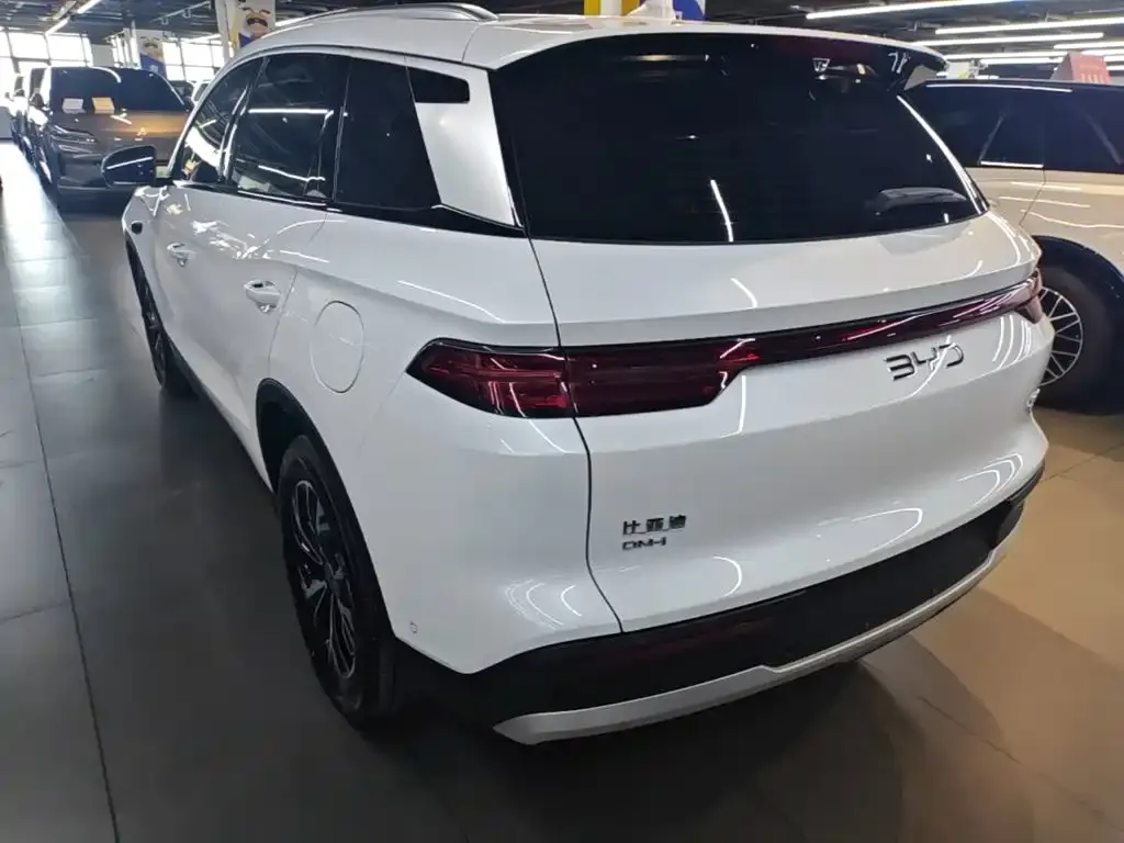 BYD Pro New Energy — фото 3