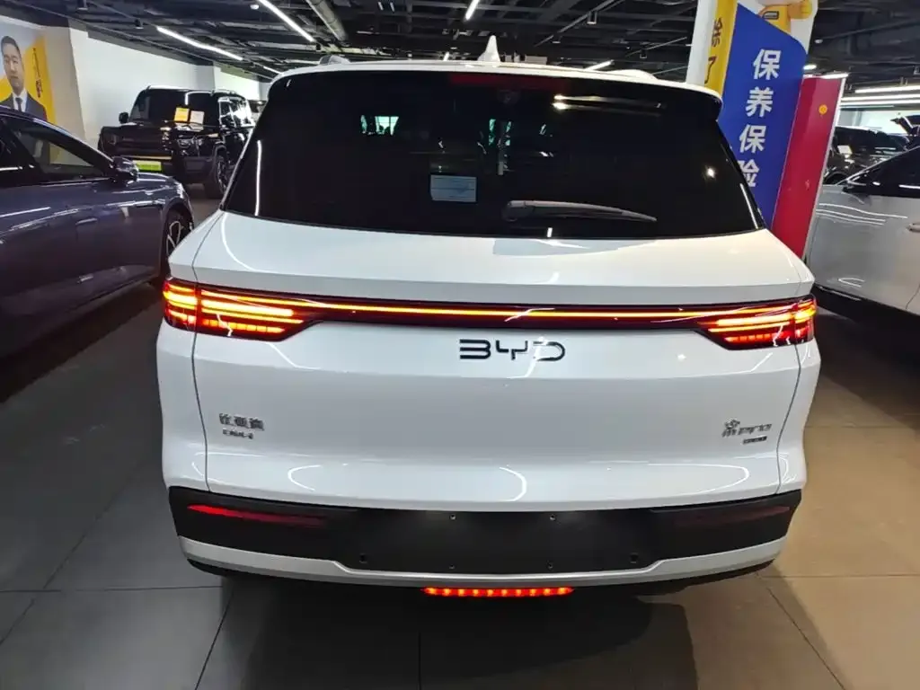BYD Pro New Energy — фото 4