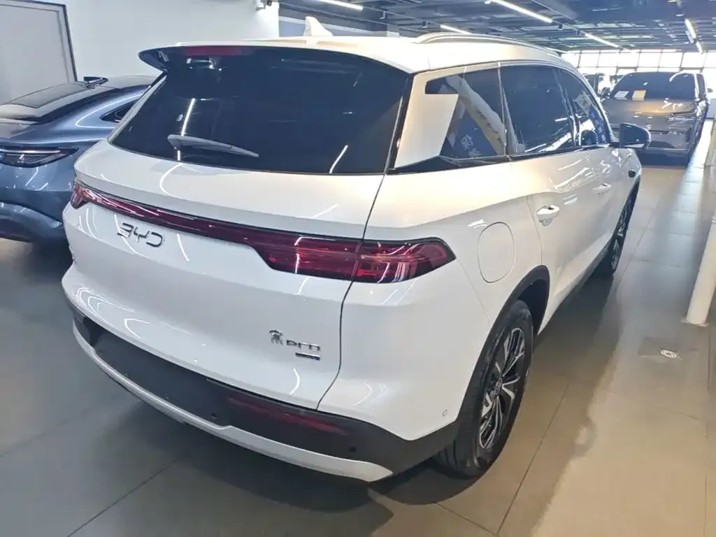 BYD Pro New Energy — фото 2