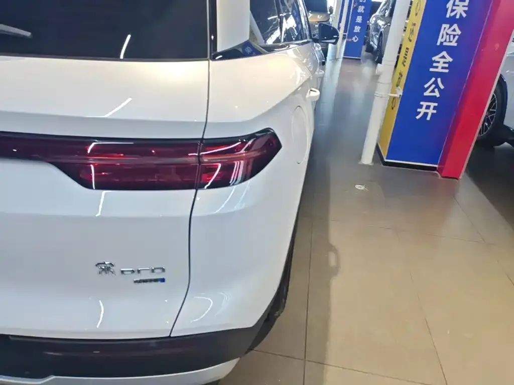 BYD Pro New Energy — фото 7